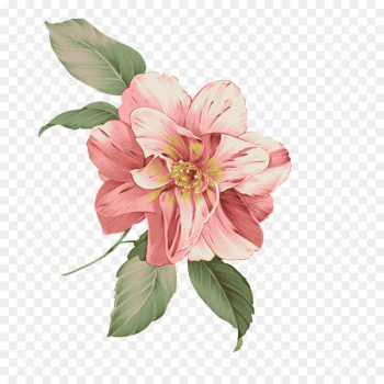 Pink flowers Pattern - Watercolor flowers Pink flowers Pattern - Watercolor flowers