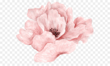 Pink flowers Pink flowers Watercolor painting - Beautiful pink flowers in full bloom 