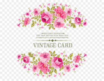 Pink flowers Rose Stock photography - Symmetric flowers invitations vector material 
