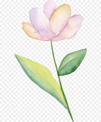 Pink flowers Watercolor painting - Small fresh pink flowers Pink flowers Watercolor painting - Small fresh pink flowers