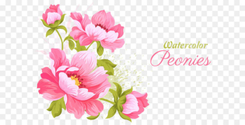 Pink flowers Wedding invitation Watercolor painting - Pink flowers vector material 