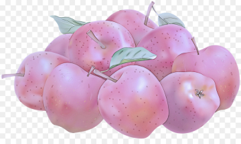 pink fruit plant food flower