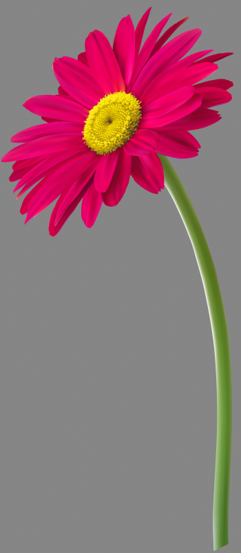 Pink Gerbera Flower PNG Clip Art Image | Gallery Yopriceville ...