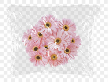 Pink gerbera png flowers plastic | Free PNG - rawpixel