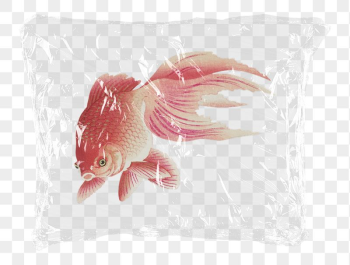 Pink goldfish png plastic bag | Free PNG - rawpixel