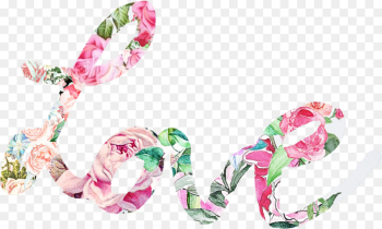 pink hair accessory fashion accessory hair tie plant pink hair accessory fashion accessory hair tie plant