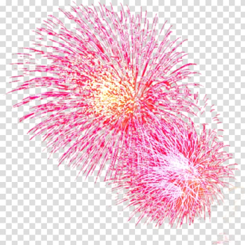 Pink Light Fireworks Red, Fireworks transparent background PNG clipart Pink Light Fireworks Red, Fireworks transparent background PNG clipart