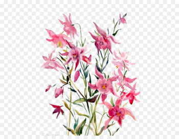 Pink Lilium Computer file - Pink lily 