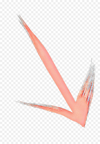 Pink M, Line, Pink, Plant PNG Pink M, Line, Pink, Plant PNG