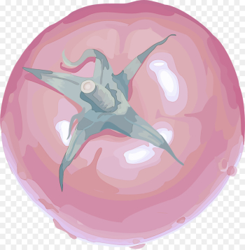 pink magenta dolphin fictional character pink magenta dolphin fictional character