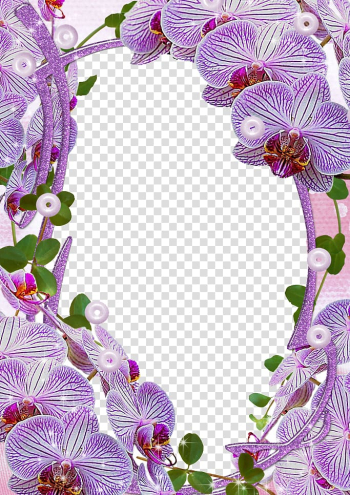 Pink moth orchid frame illustration, frame , Mood Frame transparent background PNG clipart