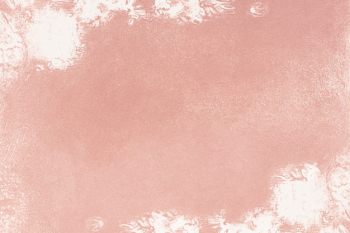 Pink oil painted canvas background Pink oil painted canvas background
