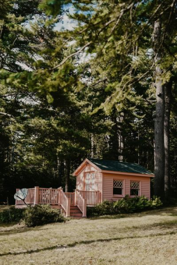 pink painted house in woods pink painted house in woods