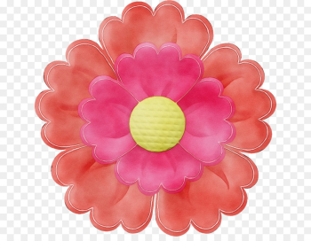 pink petal flower plant gerbera pink petal flower plant gerbera