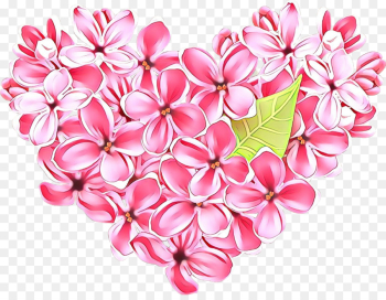 pink petal frangipani heart flower pink petal frangipani heart flower