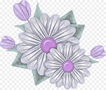 pink petal purple flower violet pink petal purple flower violet