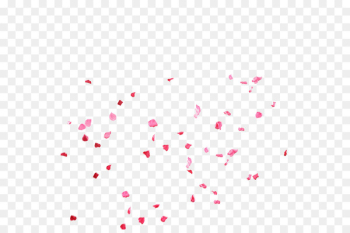 Pink Petal Rose Flower - Rose petal Pink Petal Rose Flower - Rose petal