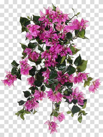 Pink petaled flower, Azalea Bougainvillea Artificial flower Shrub, flower transparent background PNG clipart