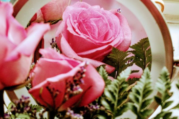 Pink Petaled Flowers Arrangement Pink Petaled Flowers Arrangement