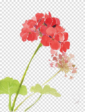 Pink petaled flowers painting, Watercolor: Flowers Watercolor painting, Watercolor flowers transparent background PNG clipart
