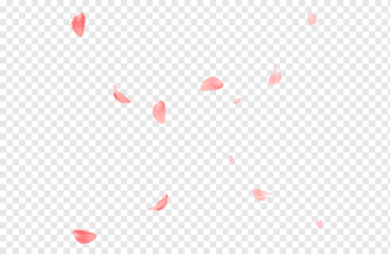 pink petals illustration, Rose Petal Flower, Rose Petals, triangle, heart, flowers png