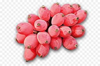 pink plant flower fruit food