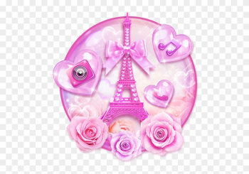 Pink Rose Pink Rose