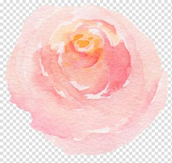 Pink rose , Beach rose Watercolor painting, Hand-painted watercolor roses transparent background PNG clipart