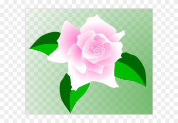 Pink-rose Clip Art - Single Pink Rose Clip Art Pink-rose Clip Art - Single Pink Rose Clip Art
