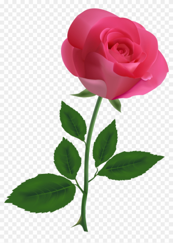 Pink Rose Clipart Png Image - Rose Clipart