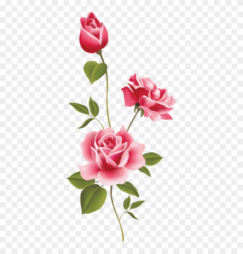 Pink Rose Clipart - Rose Vector Pink Rose Clipart - Rose Vector