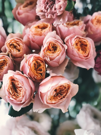 Pink Rose Flower Bouquet Pink Rose Flower Bouquet