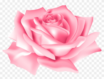 Pink Rose Flower Png Clip Art Image - Pink Rose Flowers Png