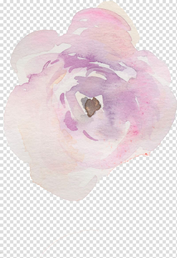 Pink rose flower , Watercolor painting Texture Drawing, Watercolor texture Hand painted flowers transparent background PNG clipart