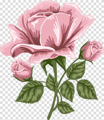 Pink rose illustration, Rose Pink , Pink Rose Art transparent background PNG clipart Pink rose illustration, Rose Pink , Pink Rose Art transparent background PNG clipart