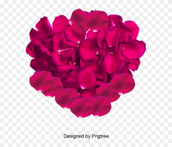 Pink Rose Petals, Rose Clipart, Pink, Rose Petal Png - Rose Pink Rose Petals, Rose Clipart, Pink, Rose Petal Png - Rose