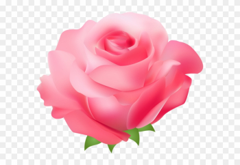 Pink Rose Png Transparent Clip Art Image - Pink Rose Clipart Png