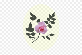 Pink Rose Vector Image - Rose