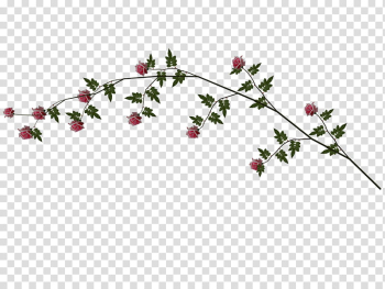 Pink Rose Vine, green and red rose plant transparent background PNG clipart