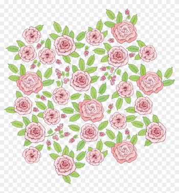 Pink Roses Beach Rose - Rose Pink Roses Beach Rose - Rose