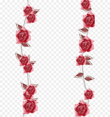 Pink roses border background Pink roses border background