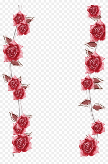 Pink Roses Border Background - Transparent Background Roses Border Pink Roses Border Background - Transparent Background Roses Border