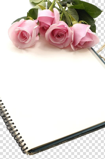 Pink roses on white notebook illustration, Urdu poetry Islam Achi, Rose and book transparent background PNG clipart