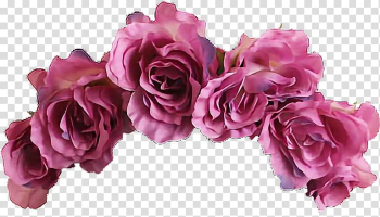 Pink roses, Wreath Flower Crown Headband, flower transparent background PNG clipart Pink roses, Wreath Flower Crown Headband, flower transparent background PNG clipart