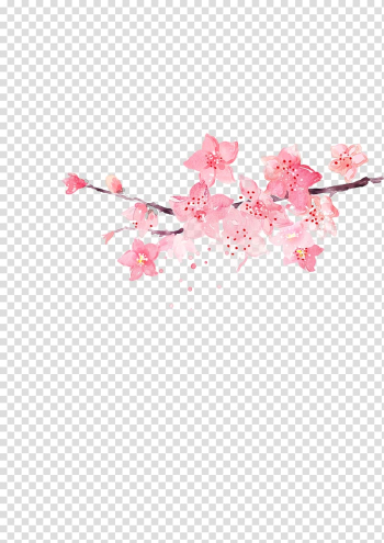 Pink Sakura blossoms border, Flower Pink, Pink corner flower decoration transparent background PNG clipart