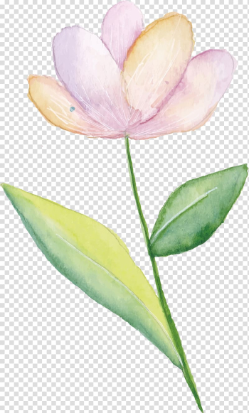 Pink tulip watercolor painting, Pink flowers Watercolor painting, Small fresh pink flowers transparent background PNG clipart