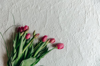 Pink Tulips On Quilted Blanket Pink Tulips On Quilted Blanket