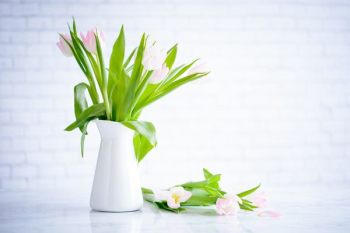 pink tulips on white vase pink tulips on white vase