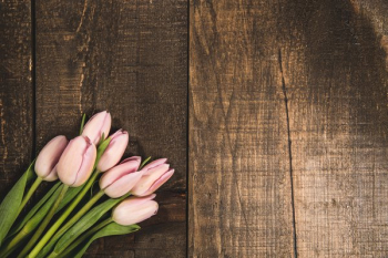 Pink Tulips On Wood Texture Pink Tulips On Wood Texture
