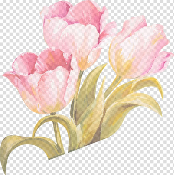 Pink tulips painting, Tulip Watercolor painting Flower, Tulip Watercolor Ribbon 1 transparent background PNG clipart